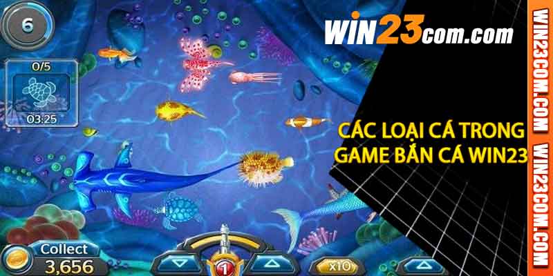 Bắn Cá Win23