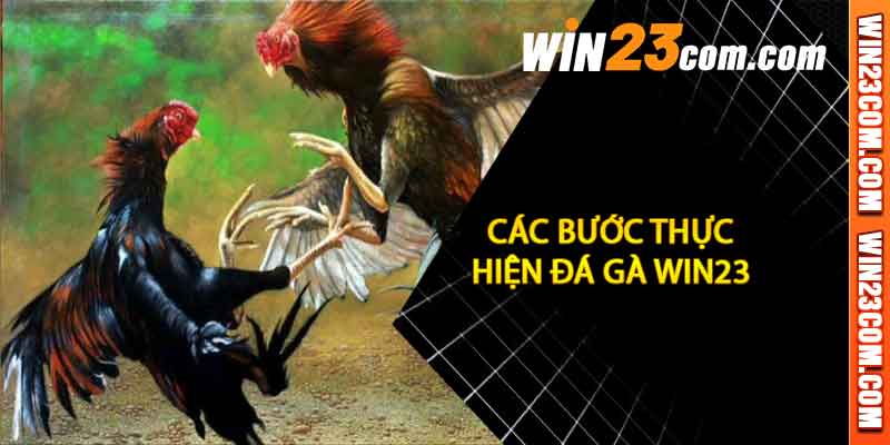 Đá Gà win23