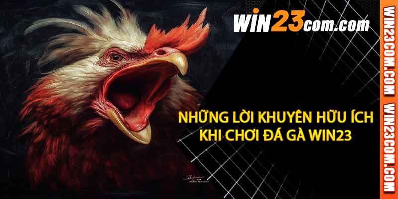 Đá Gà win23